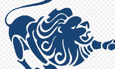 对付狮子座的妙招