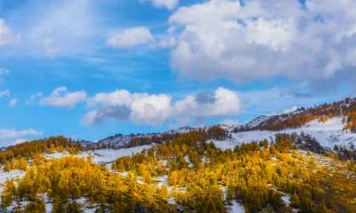 立秋早和晚有什么区别？早立秋是指几点到几点？