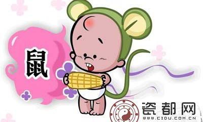 生肖鼠最好的出生时辰