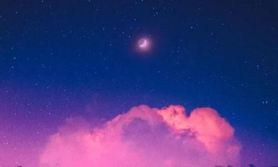 感情、友谊，为何巨蟹座是“至情挚爱”