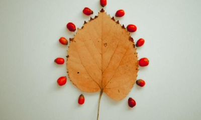 白羊座，一个很反感欠人情的星座