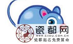 生肖鼠的情运报告