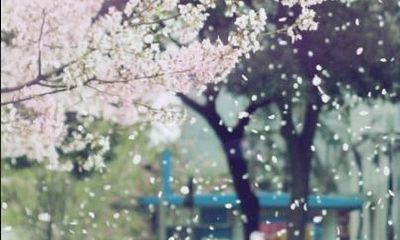 属鼠的佩戴什么好