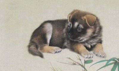 看过本文，2020年从此不必担心运程不好了。