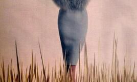 狮子座和狮子座的爱情