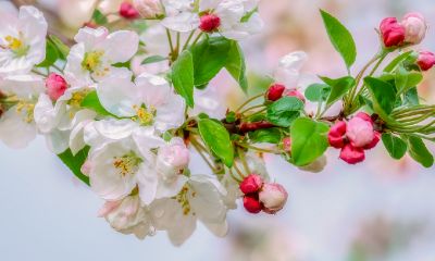 2022虎年秋天哪些日子适合结婚，秋季拍婚纱照要注意什么？