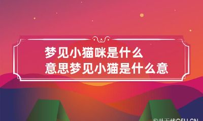 梦见小猫咪是什么意思 梦见小猫是什么意思啊