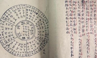 八字十干旺衰细论（实例讲解，仅供爱好者参考）