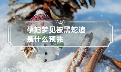 孕妇梦见被黑蛇追是什么预兆