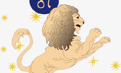 狮子座程序员的工作生崖