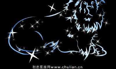 狮子座男女的爱情(狮子座爱情)