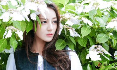 梦见和大牌明星工作中