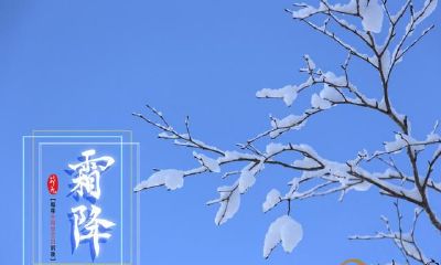 八字命理：排八字的情况下怎么会采用月令和节令？