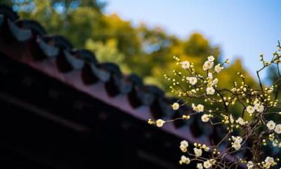 2020年立春2月4日出生的人好吗，立春出生的人命运解析！