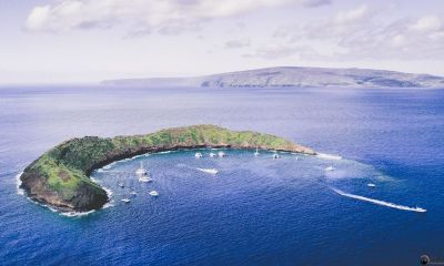 梦到开阔的海洋