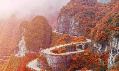 阴阳五行天干地支，生克制化，刑冲合害，四柱宫位，十神大运流年