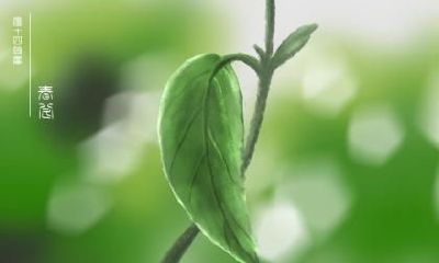 春分时期要注意什么？春分要预防什么疾病？