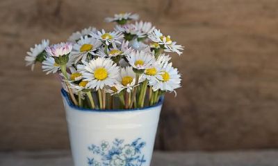 狮子座2021年运程详细说明，上半年度告别单身运强，第三季度初入职场发展趋势顺利