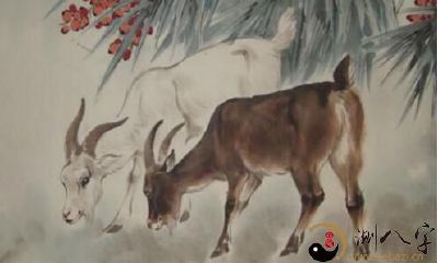 他们大智若愚，有朝一日终成大器的生肖