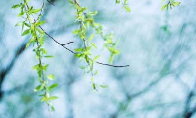 2020年3月20日春分剖腹产好不好？日子生宝宝好吗？