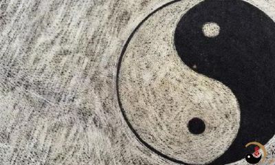 从日支天干地支能够看得出哪些？