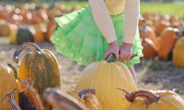 冯姓女孩取什么名字好2024