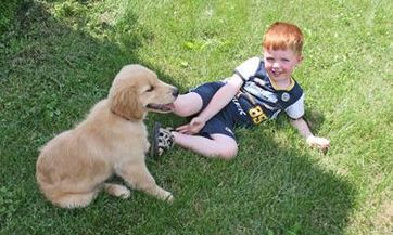 冯姓男孩名字2023年4月怎么取