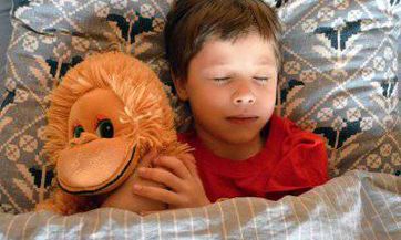 2023兔年农历十二月出生的怎么取名 温柔又稳重的属兔人名字