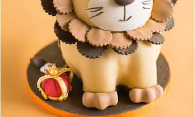 狮子座的网络情缘