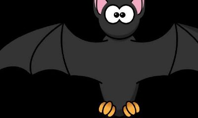 梦见很多蜘蛛最终都杀死了