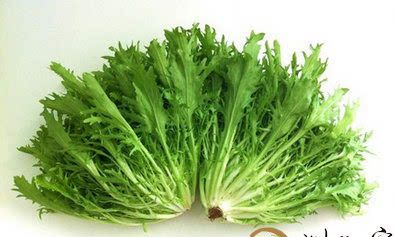 梦到田里有很多苦麻菜