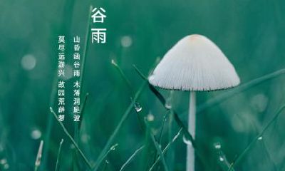 不同年份谷雨节气出生的属鼠人命运如何？