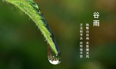 生肖属牛的人在谷雨节气出生命好不好？