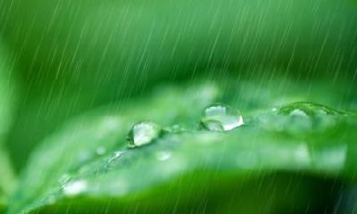 2020年农历二月中有什么节气？