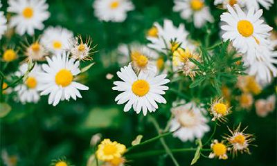 2022年农历五月是几月？农历五月生的人命运如何？