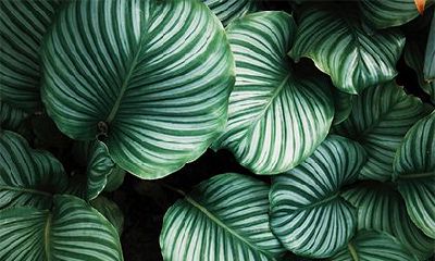 2022年农历五月有什么节日，具体日子是哪天？