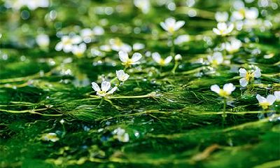 2022农历五月份是什么星座？五月出生是什么性格？