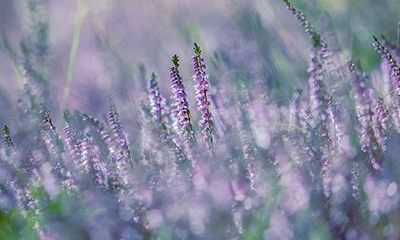 2022年清明节能剪头发吗？理发上午还是下午吉利？