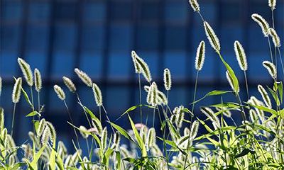 2022壬寅虎年农历五月出生的是什么星座？