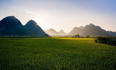 2022年农历五月初八芒种节气是不是动土的好日子？