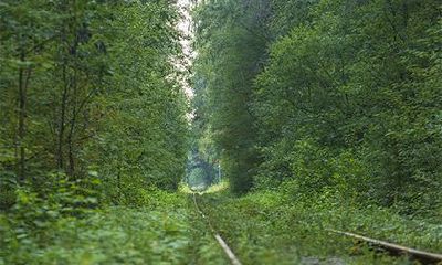 2022年农历四月出生要几月怀孕？农历四月出生的女人命运