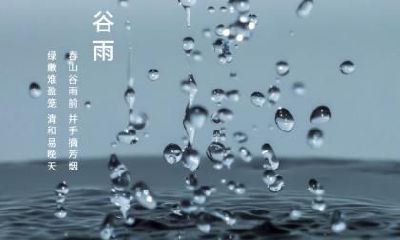 在谷雨节气出生的生肖属狗的人命运怎么样？