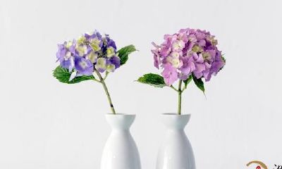 处女座——十条与处女座相处的准则，教你如何与处女座相处融洽