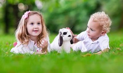 趣味测试：测测你前世的长相