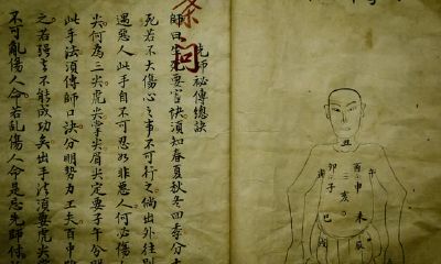 运势预测分析的情况下，对日干旺衰高低分析务必先确立旺衰高低的定义