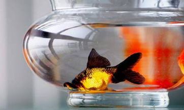 梦见茶具是什么意思