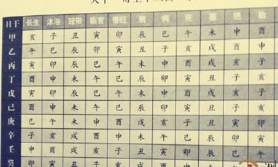 再谈八字排盘案例详细说明（四）明确旺衰、年命、胎元和命宫
