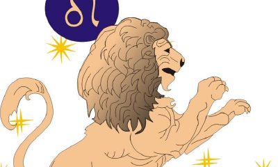 十二星座爱情问诊：狮子座