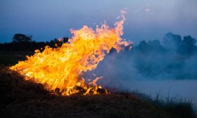 2020年小年腊月二十四出生女孩五行缺火活泼可爱的名字！