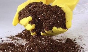 2022年大雪是几点几分什么时间